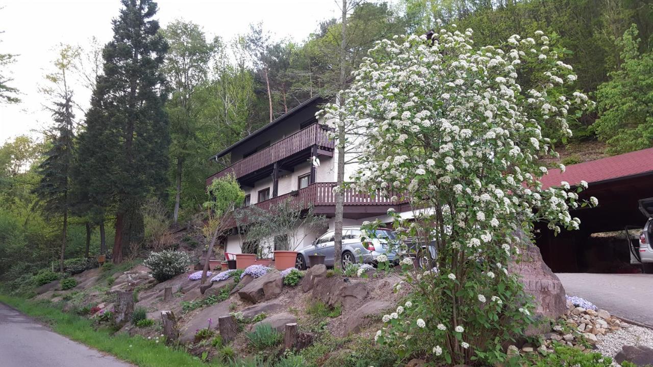 Gaestehaus Gerhardt Schweigen-Rechtenbach Ngoại thất bức ảnh