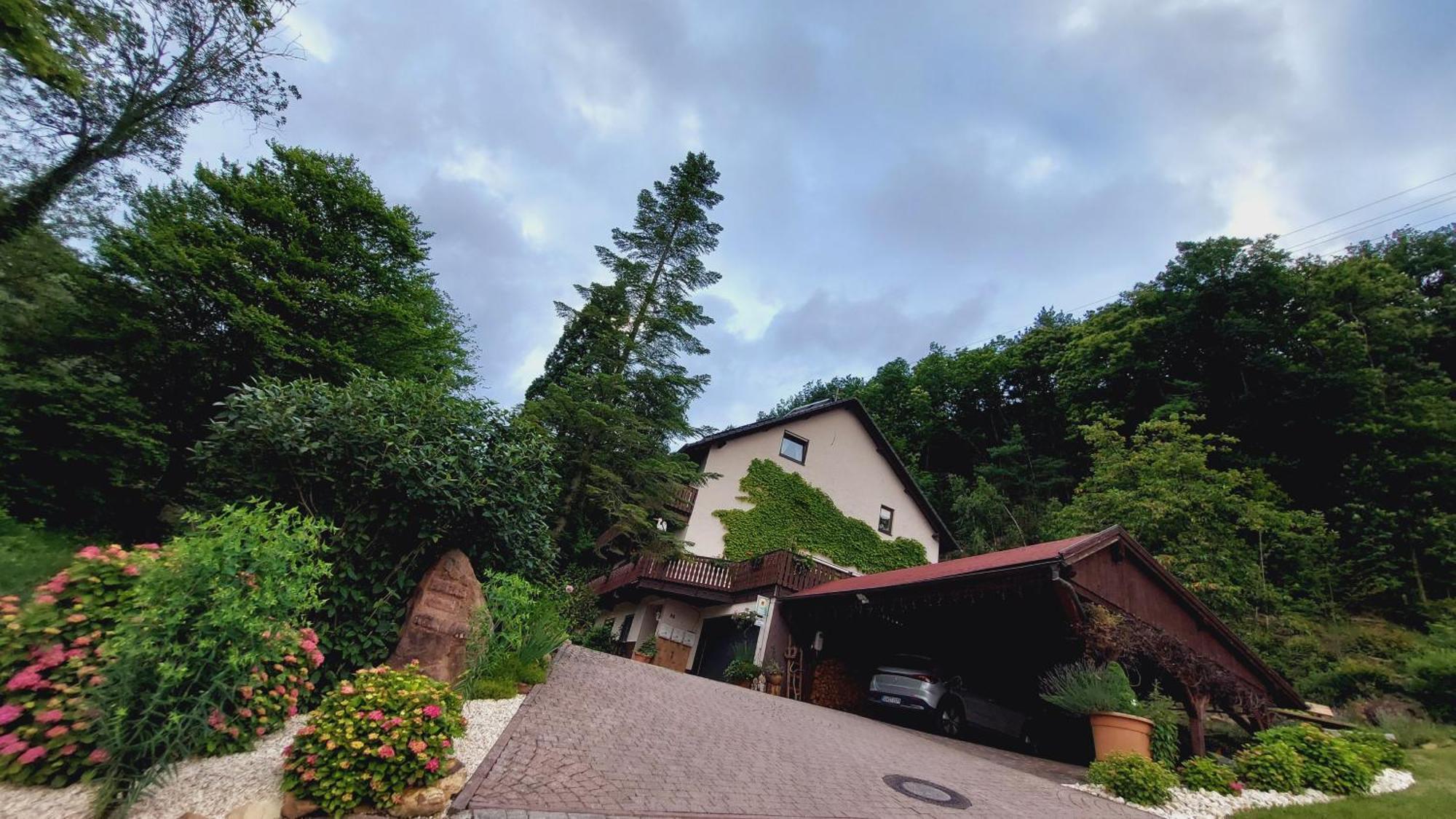 Gaestehaus Gerhardt Schweigen-Rechtenbach Ngoại thất bức ảnh