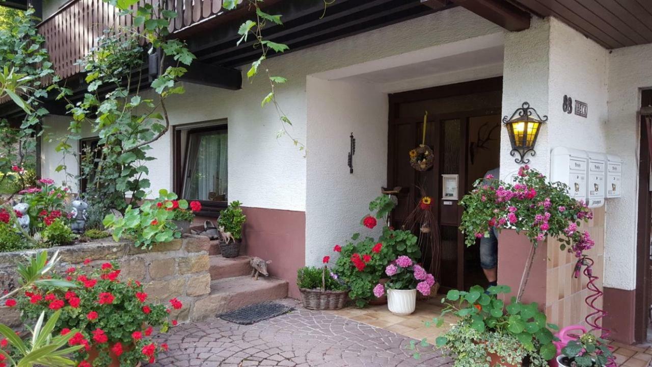Gaestehaus Gerhardt Schweigen-Rechtenbach Ngoại thất bức ảnh